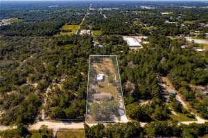 9916 EDEN AVENUE, HUDSON, FL 34667 Sold 10/31/24