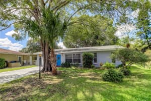 602 LEMONWOOD DRIVE, OLDSMAR, FL 34677 Sold 03/19/25