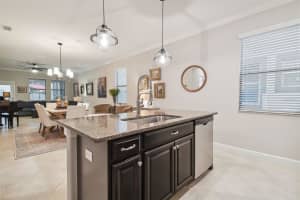 1005 OLIVETO VERDI COURT, BRANDON, FL 33511 Sold 12/13/24