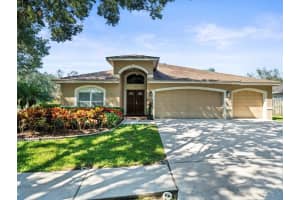 19604 MORDEN BLUSH DRIVE, LUTZ, FL 33558 Sold 12/11/24
