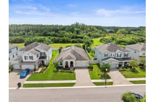 1100 MULTIFLORA LOOP, LUTZ, FL 33558 Sold 04/18/25