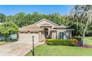 345 TAVERNIER DRIVE, OLDSMAR, FL 34677 Sold 11/08/24