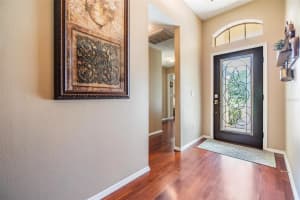 345 TAVERNIER DRIVE, OLDSMAR, FL 34677 Sold 11/08/24