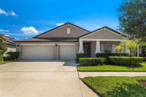 10804 CRUSHED GRAPE DRIVE, RIVERVIEW, FL 33578 Sold 02/02/25