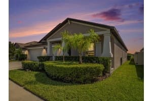 10804 CRUSHED GRAPE DRIVE, RIVERVIEW, FL 33578 Sold 02/02/25
