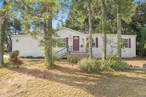 9913 HIGH MEADOW AVENUE, THONOTOSASSA, FL 33592 Sold 01/24/25