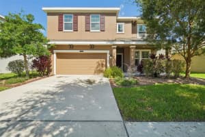 21607 SOUTHERN CHARM DRIVE, LAND O LAKES, FL 34637 Sold 12/04/24