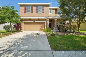 21607 SOUTHERN CHARM DRIVE, LAND O LAKES, FL 34637 Sold 12/04/24