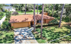 1231 HOLIDAY DRIVE, TARPON SPRINGS, FL 34689 Sold 11/27/24