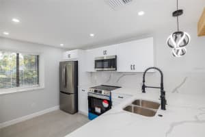419 CEDAR RIDGE COURT, OLDSMAR, FL 34677 Sold 11/06/24