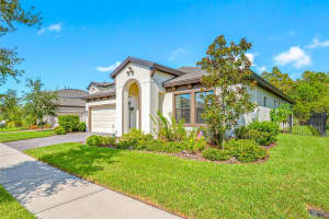 4519 BALLANTRAE BOULEVARD, LAND O LAKES, FL 34638 Sold 11/08/24