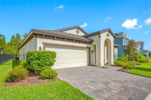 4519 BALLANTRAE BOULEVARD, LAND O LAKES, FL 34638 Sold 11/08/24