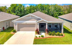 10317 GLIDING EAGLE WAY, LAND O LAKES, FL 34638 Sold 11/08/24