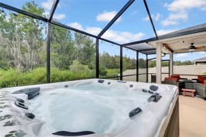10317 GLIDING EAGLE WAY, LAND O LAKES, FL 34638 Sold 11/08/24