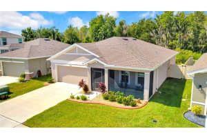 10317 GLIDING EAGLE WAY, LAND O LAKES, FL 34638 Sold 11/08/24