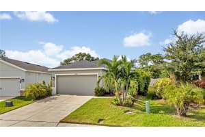 10966 HIGH NOON TRAIL, PARRISH, FL 34219 Sold 01/03/25