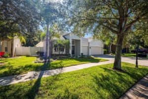 3136 CHESSINGTON DRIVE, LAND O LAKES, FL 34638 Sold 12/20/24