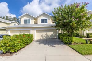 265 HARBOR DRIVE, PALM HARBOR, FL 34683 Sold 11/21/24
