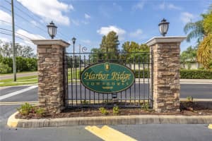 265 HARBOR DRIVE, PALM HARBOR, FL 34683 Sold 11/21/24
