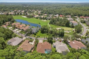 10110 RADCLIFFE DRIVE, TAMPA, FL 33626 Sold 03/13/25