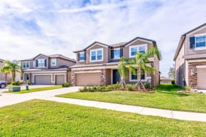11321 Alachua Creek Ln, RIVERVIEW