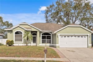 308 WOOD CHUCK AVENUE, TARPON SPRINGS, FL 34689 Sold 12/20/24