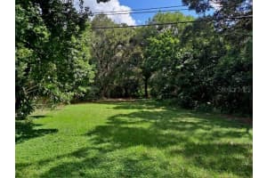29947 70TH STREET, CLEARWATER, FL 33761 Sold 12/16/24