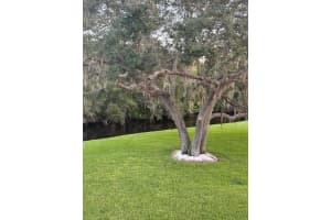 276 CYPRESS LANE, OLDSMAR, FL 34677 Sold 12/23/24