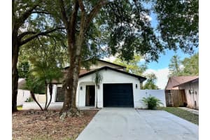 16318 CALIENTE PLACE, TAMPA, FL 33624 Sold 02/26/25