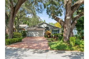 13506 BELLINGHAM DRIVE, TAMPA, FL 33625 Sold 02/25/25