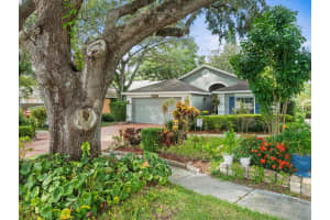 13506 BELLINGHAM DRIVE, TAMPA, FL 33625 Sold 02/25/25