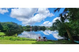 1155 7TH STREET, SAFETY HARBOR, FL 34695 - MLS#MFRTB8306580