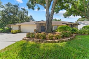 6202 IROQUOIS CT, ODESSA, FL 33556 Sold 01/15/25