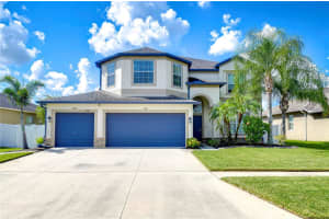 3741 TRISTRAM LOOP, LAND O LAKES, FL 34638 Sold 11/01/24