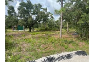33410 WASHINGTON LOOP ROAD, PUNTA GORDA, FL 33982 - MLS#MFRTB8306681