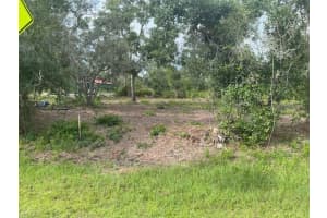 33410 WASHINGTON LOOP ROAD, PUNTA GORDA, FL 33982 - MLS#MFRTB8306681