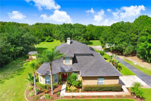 6535 LAKE IRENE DRIVE, LAND O LAKES, FL 34638 Sold 11/13/24