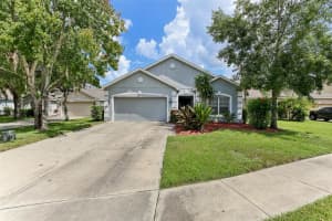 6228 DAINTY BESS COURT, LAND O LAKES, FL 34639 Sold 04/04/25