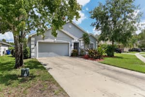 6228 DAINTY BESS COURT, LAND O LAKES, FL 34639 Sold 04/04/25