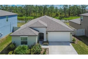 1239 TAHITIAN SUNRISE DRIVE, PLANT CITY, FL 33565 Sold 12/06/24