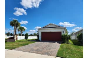 11883 BRIGHTON KNOLL LOOP, RIVERVIEW, FL 33579 - MLS#MFRTB8306808