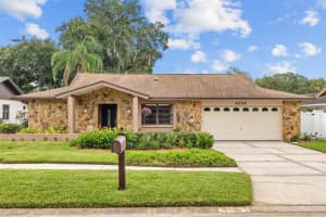 4124 HOLLOWTRAIL DRIVE, TAMPA, FL 33624 Sold 12/17/24