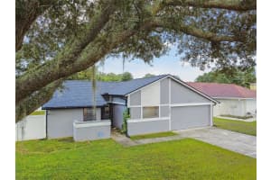 5387 BLACK PINE DRIVE, TAMPA, FL 33624 Sold 11/04/24