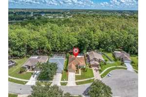 16009 ROYAL ABERDEEN PLACE, ODESSA, FL 33556 Sold 12/05/24