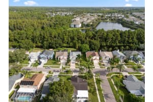 11202 CLAYRIDGE DRIVE, TAMPA, FL 33635 Sold 02/27/25