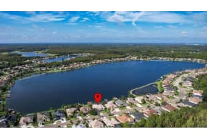 16837 IVY LAKE DRIVE, ODESSA, FL 33556 Sold 11/13/24