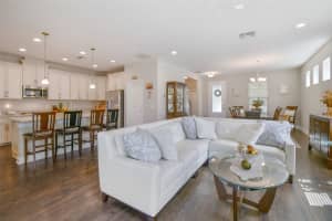 13503 BATTEN LANE, ODESSA, FL 33556 Sold 12/30/24