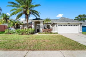 14919 ROCKY LEDGE DRIVE, TAMPA, FL 33625 Sold 11/04/24