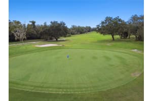 12800 WEDGEWOOD WAY, HUDSON, FL 34667 Sold 12/23/24