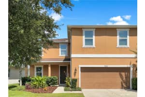 10636 LAGUNA PLAINS DRIVE, RIVERVIEW, FL 33578 Sold 06/04/25